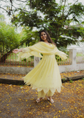 light green color anarkali set
