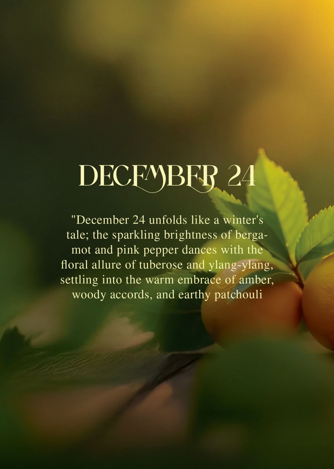 December 24